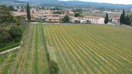 Road Trip: tra gli esportatori di vino "Brexit? Passerà anche questa"