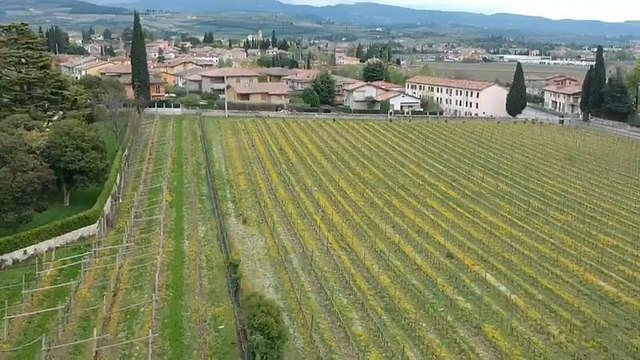 #EURoadTrip En ruta a las Europeas - Día 20: de vinos por el Véneto