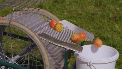This Fruit Collector Is Essential For Harvesting  Season