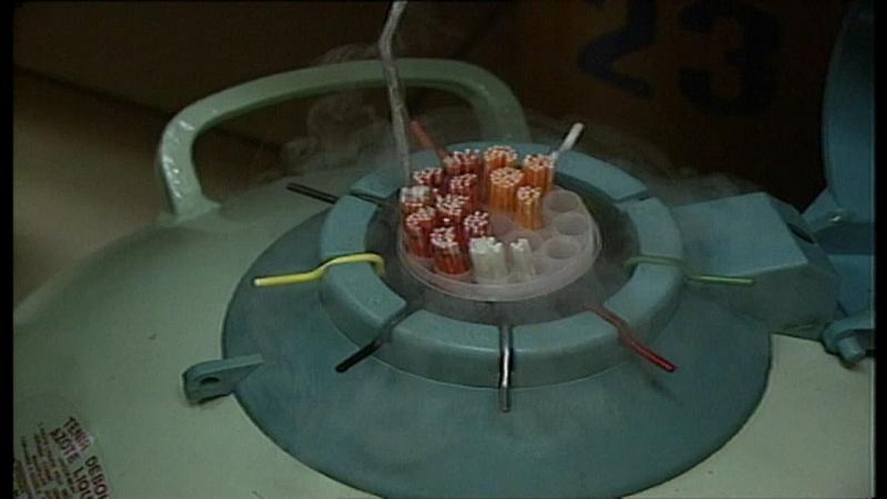 Arzt zeugt 49 Kinder - mindestens