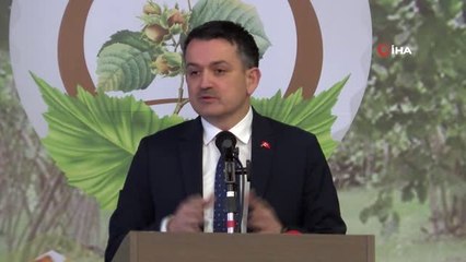 Bakan Pakdemirli: "Fındığın Türkiye'ye Olan Katkısını En Az 3 Milyar Dolar Olacak Şekilde Proje...