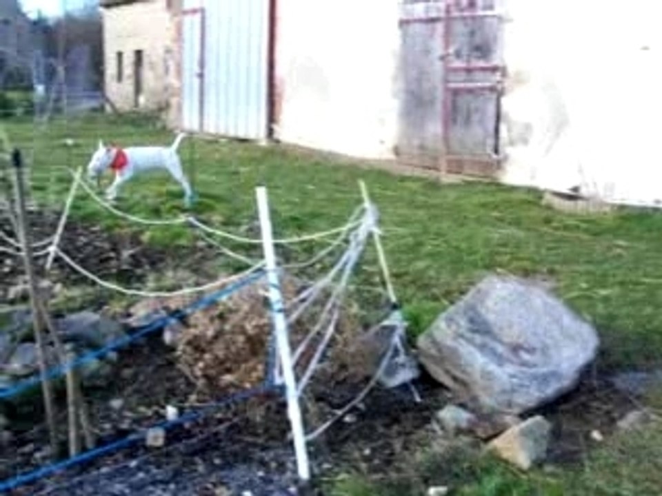 Vidéo Cocaïne