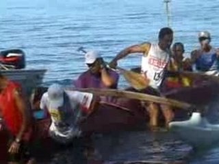 Manu ura Paea