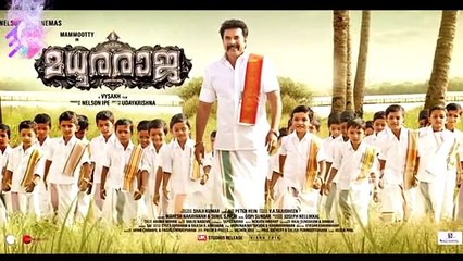 മധുരരാജാ ആദ്യ പ്രേക്ഷക പ്രതികരണം | Madhuraraja Audience Response