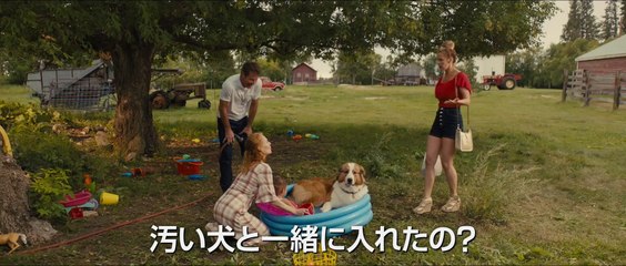 映画『僕のワンダフル・ジャーニー』予告編