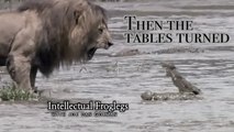 Then the Tables Turned - Intellectual Froglegs