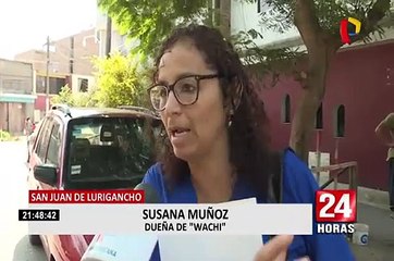 SJL: perro sobrevive tras ser atropellado por auto