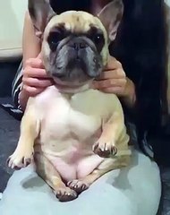 Quando ti fanno il solletico all'improvviso..