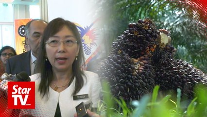 Download Video: Kok hopes ECRL prioritises local goods, China to buy more palm oil