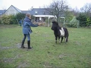 Pawnee cabré, 1eres tentatives