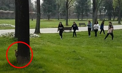 Canlı olarak ilk kez gördüler, heyecandan çığlık attılar