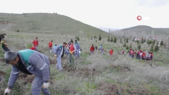 Şehit Muammer Çanta Ormanı'na 180 Fidan Dikildi
