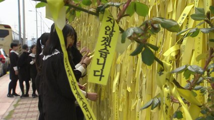 "우리가 대신 아플게요"...목포신항 추모 발길 / YTN