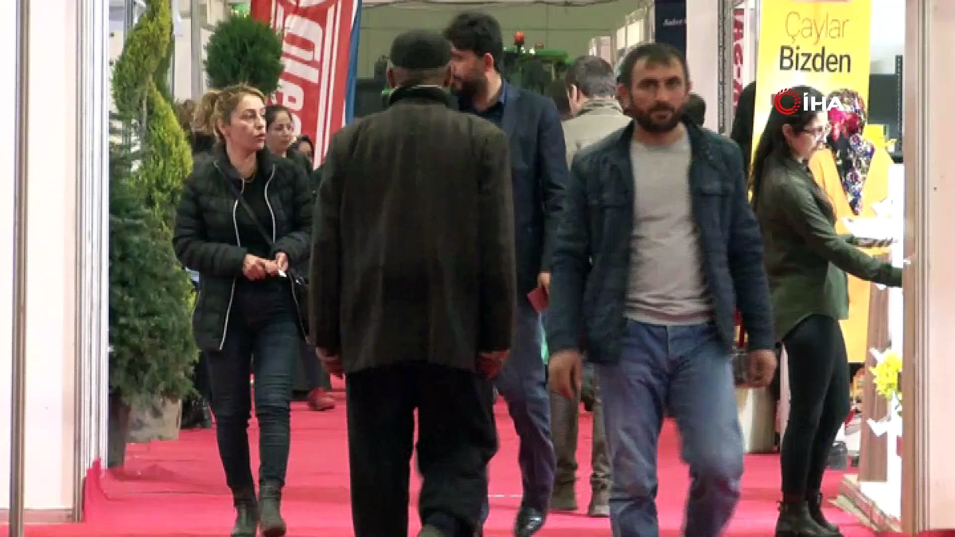 Yaban hayvanlarının tahniti hayran bırakıyor