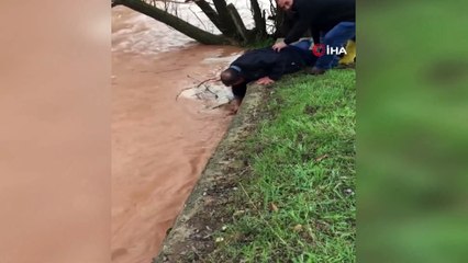 Sel nedeniyle taşan dereden elleriyle balık tuttular