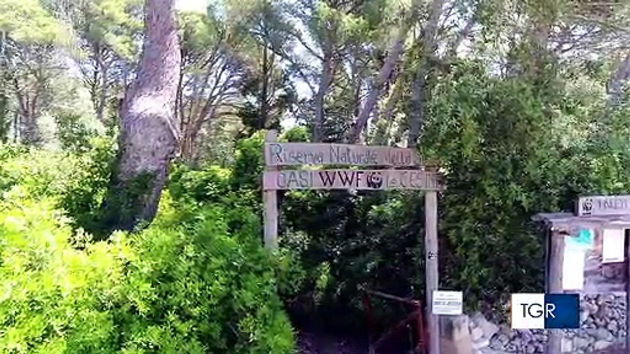 Puglia: le straordinarie immagini aeree dell'oasi naturale Le Cesine