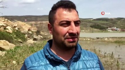 Baraj Çekildi Binlerce Balık Kıyıya Vurdu