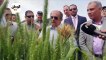 وزير الزراعة يفتتح موسم زراعة القطن في كفر الشيخ