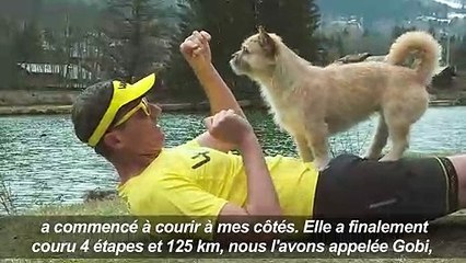 Le chien "Gobi" au marathon de Paris