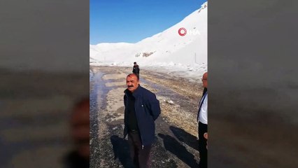 Van-Bahçesaray karayoluna çığ düştü