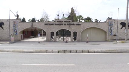 Kaplumbağa "Tuki" 99 Yaşına Girdi