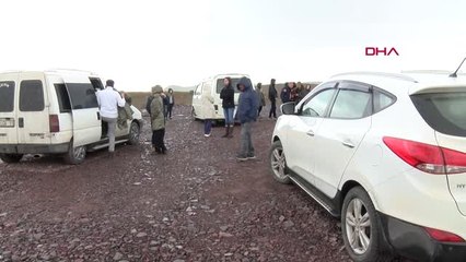 Ankara'da Çöp Poşetleri İçinde Köpek Ölüleri Bulundu