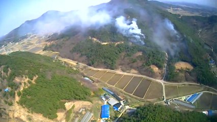 충남 당진·공주에 산불...1명 화상 / YTN