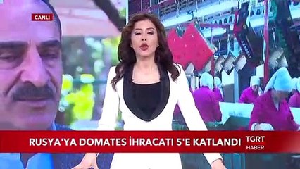 Rusya'ya Domates İhracatı 5'e Katlandı