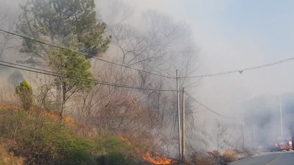 전남 담양군 금성면 야산 불...600㎡ 불타 / YTN