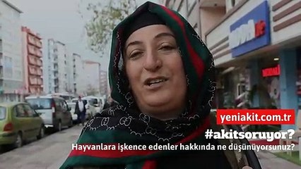 Vatandaştan hayvanlara şiddet tepkisi!