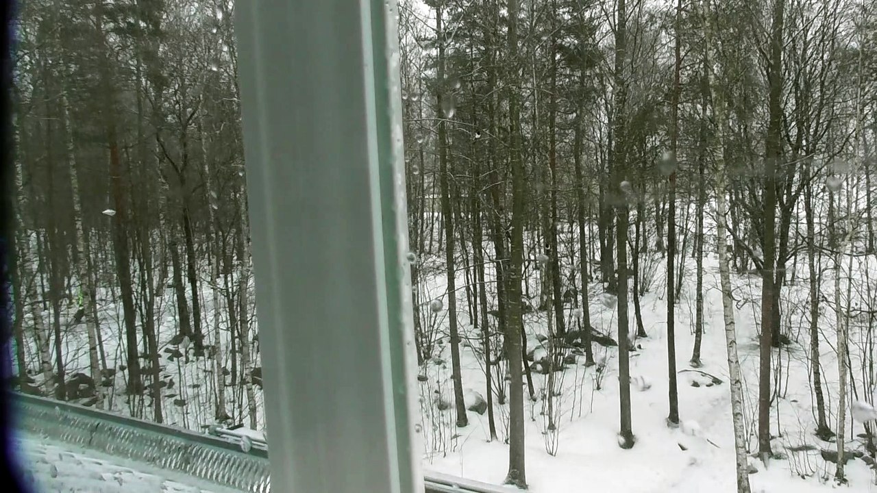 March 18 2019 DL1