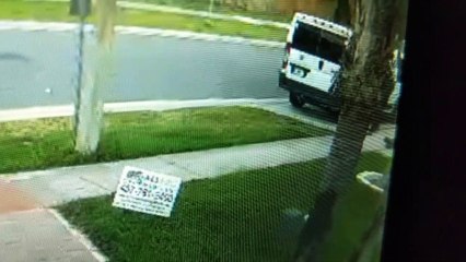 Florida Man Suspected of Eating Dog Poop