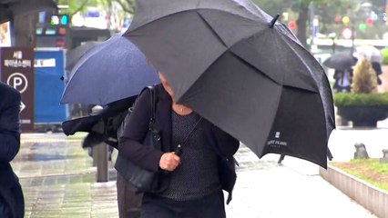 오늘 전국 태풍급 비바람...우박·벼락 유의 / YTN