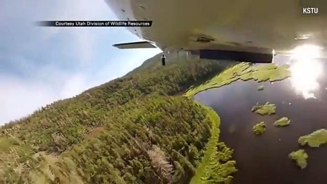 Ils larguent des tonnes de poissons dans un lac de montagne... Réempoissonnement impressionnant