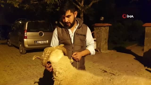 Polis Ekipleri 'Koç' Peşinde...çalınan Koçunu Bulan Polis Ekiplerine Koçuyla Birlikte Teşekkür Etti