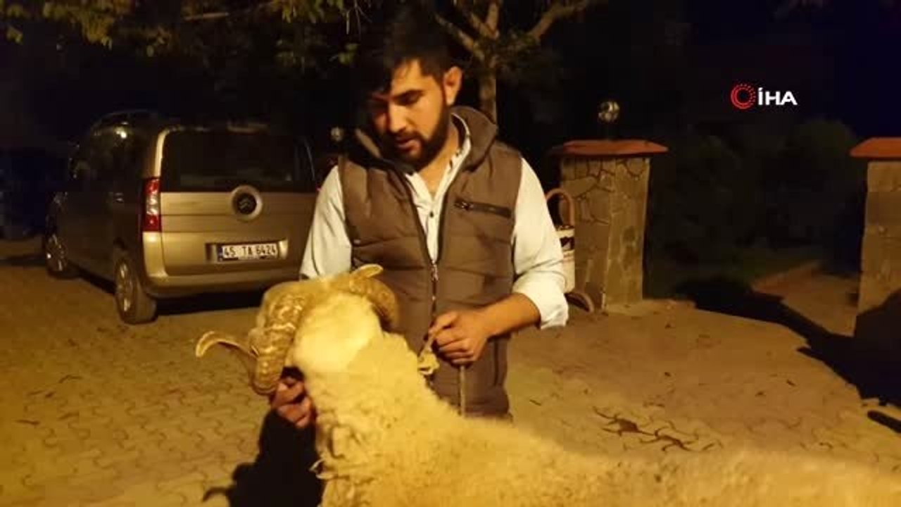 Polis Ekipleri 'Koç' Peşinde...çalınan Koçunu Bulan Polis Ekiplerine Koçuyla Birlikte Teşekkür Etti