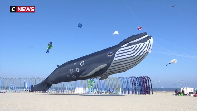 Berck-sur-Mer, la capitale mondiale du cerf-volant