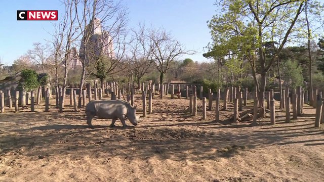 Au parc zoologique de Paris on soigne les animaux par le jeu