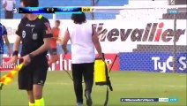 Almagro vs Temperley match in Argentina is interrupted because bees covered one of the goals!