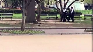 Homem é preso em frente a Casa Branca após tentar atear fogo em si mesmo