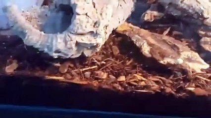 경기출장안마 -후불100%ョØ7Øg5222w6739｛카톡ZZ67｝경기전지역출장마사지샵'예약'경기출장qc안마es경기출장안마 cos여3경기출장마사지황형ニヌネ경기콜걸