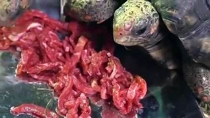 의창구출장안마 -후불100%ョØ1Øa2671k8135｛카톡KC456}의창구전지역출장마사지샵'예약'의창구출장qc안마es의창구출장안마 cos여3의창구출장마사지황형どなに의창구콜걸