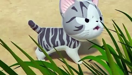 바카라솔루션%@% 텔레그램:Applesol %@%토토분양 토토솔루션분양 토토솔루션분양 토토솔루션분양 토토분양 바카라솔루션