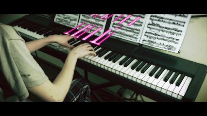 Legend of Zelda: Breath of the Wild - "Hyrule Castle" [Piano Cover] || DS Music