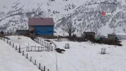 Muş'un Dağ Köyleri Kara Teslimken, Muş Ovası Cıvıl Cıvıl