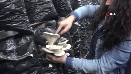 İki Kadın Arkadaş Azmetti, Mağazayı Mantar Tarlasına Çevirdi