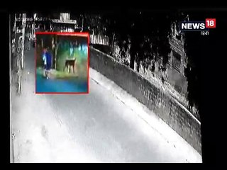 दिनदहाड़े अपहरण का प्रयास, इस तरह छुड़वाकर भागे बहादुर बच्चे, देखिए VIDEO- Attempt to kidnaping of children in jodhpur