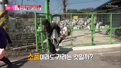 부부의 소풍날? 조상님 뵈러 산에 간 부부 [엄마의 봄날] 187회 20190414