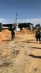 Hafter'e bağlı bir tabur asker, hükümet saflarına geçti