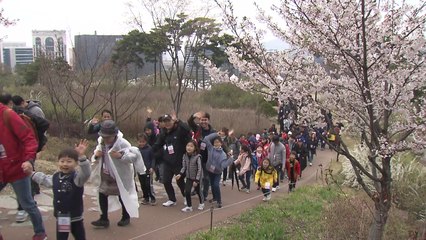 제7회 YTN 남산 가족 걷기 대회 개최 / YTN